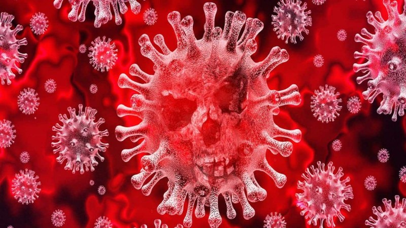 Cosa non sappiamo ancora del coronavirus ?