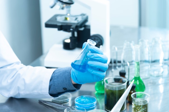 Lactobacilli: perché rendono più funzionale il nostro intestino
